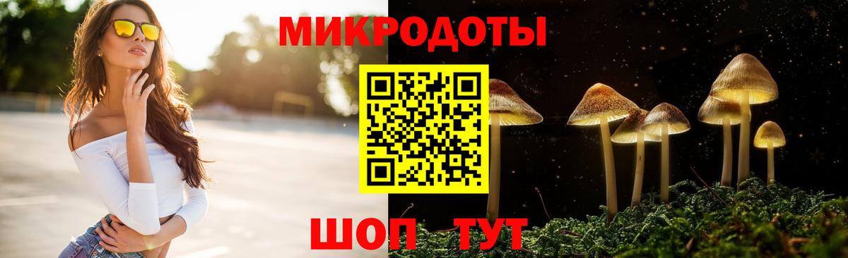 Галлюциногенные грибы Psilocybe  Вход с VPN  Клинцы 