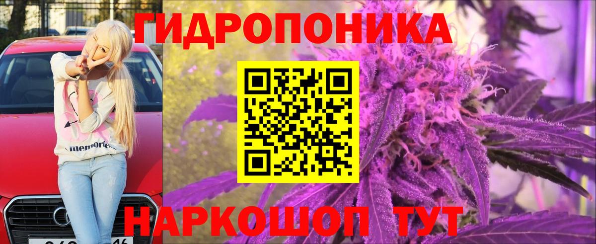 Бошки Шишки Amnesia Клинцы